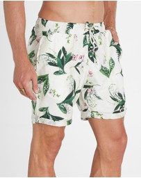 Aqua Blu Australia - Lily Taylor Shorts