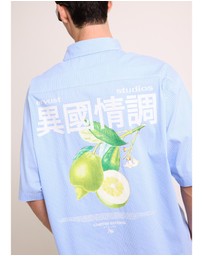 Arvust - Honolulu Cropped Shirt