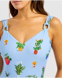 Seafolly - Playa Bonita DD One Piece Swimsuit
