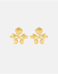 Stephanie Browne - Dita Earrings