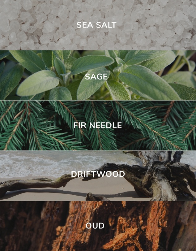Caitlin Louise Collection - Wood Sage & Sea Salt Artist Room Spray