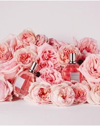 Viktor & Rolf - Flowerbomb EDP 50ml