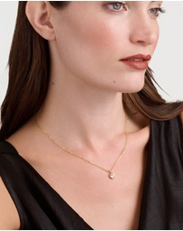 Ted Baker - HANNELA: Crystal Heart Pendant Necklace