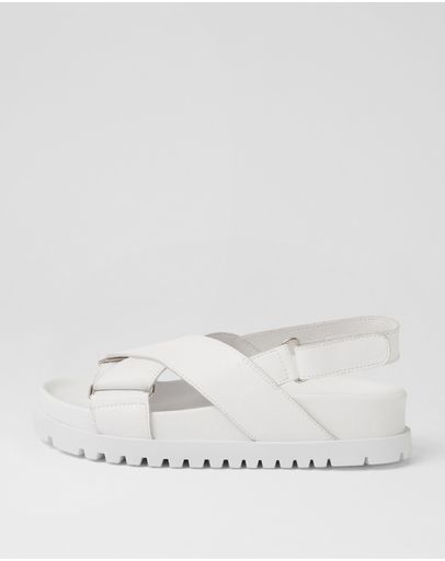 WHITE-WHITE SOLE