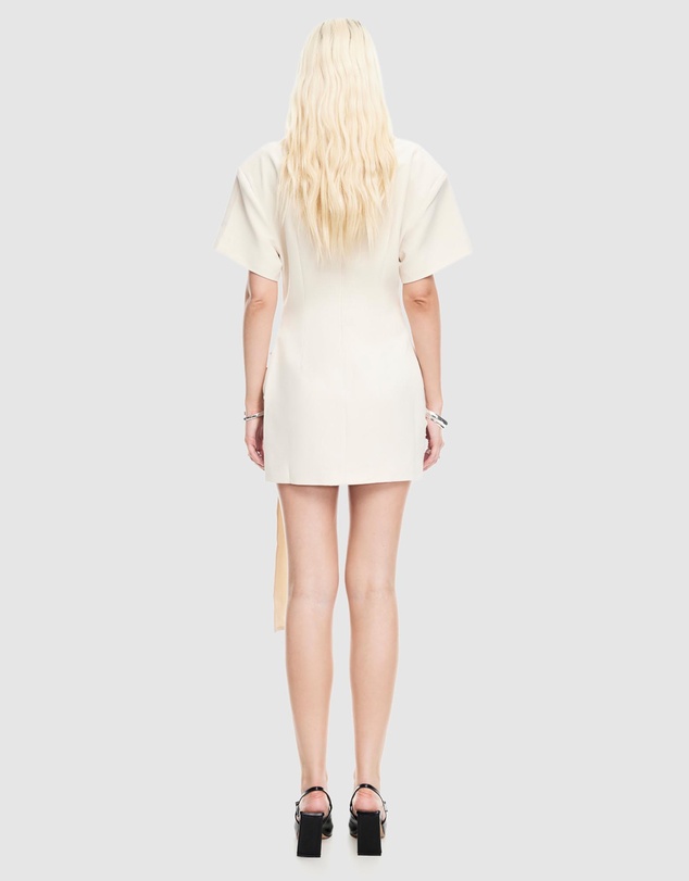 Lioness - Martini Mini Dress