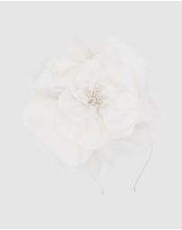 Morgan & Taylor - Cindy Fascinator