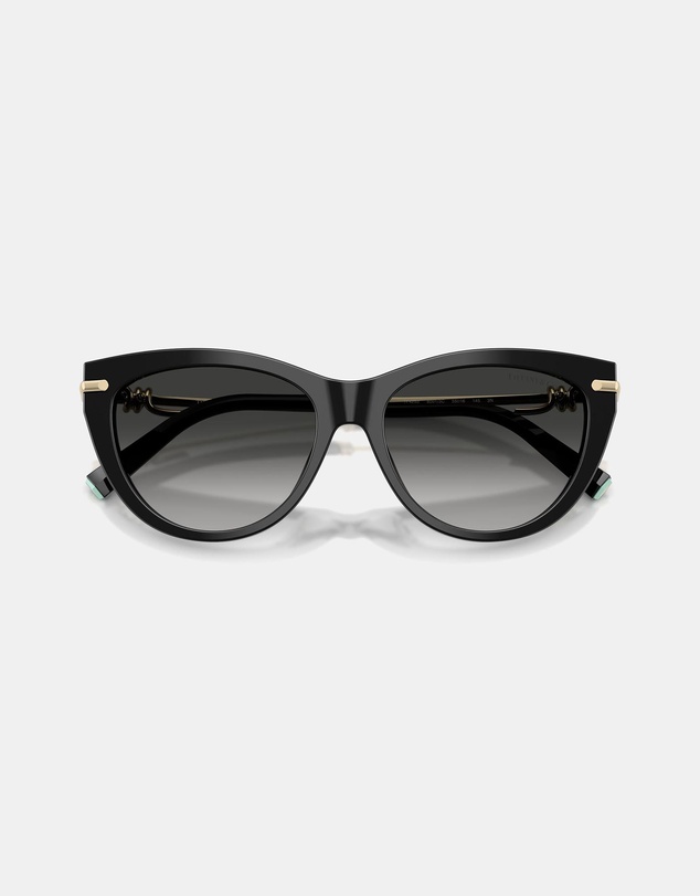 Tiffany & Co. - 0TF4253