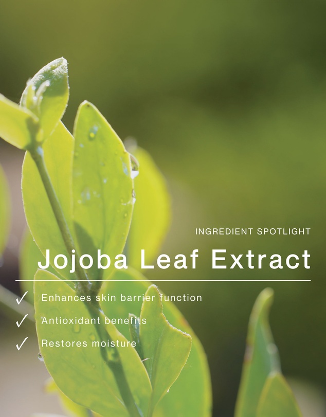 The Jojoba Company - Daily Glow Exfoliating PHA Tonic 125ml