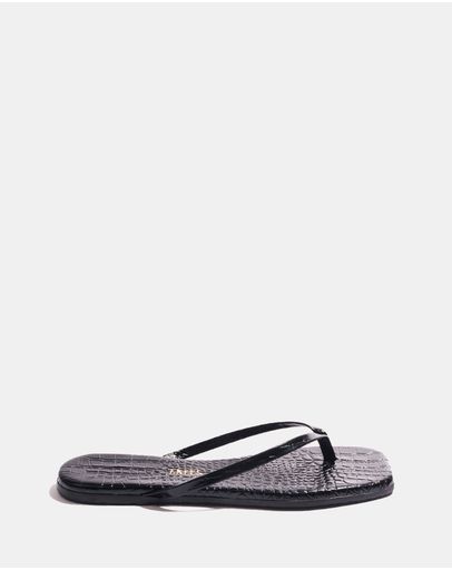 Sable Croc