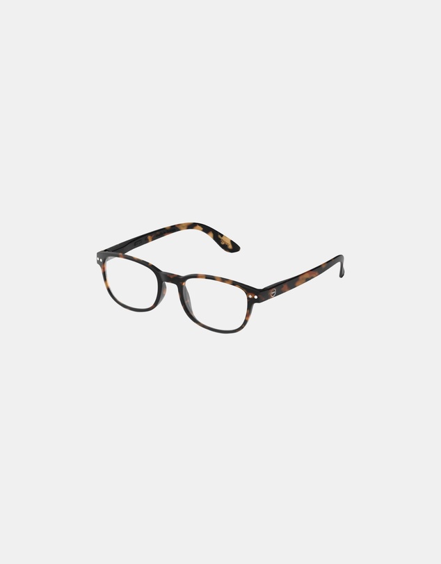 IZIPIZI - Reading Collection B Tortoise