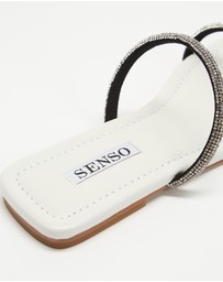 Senso - Holly