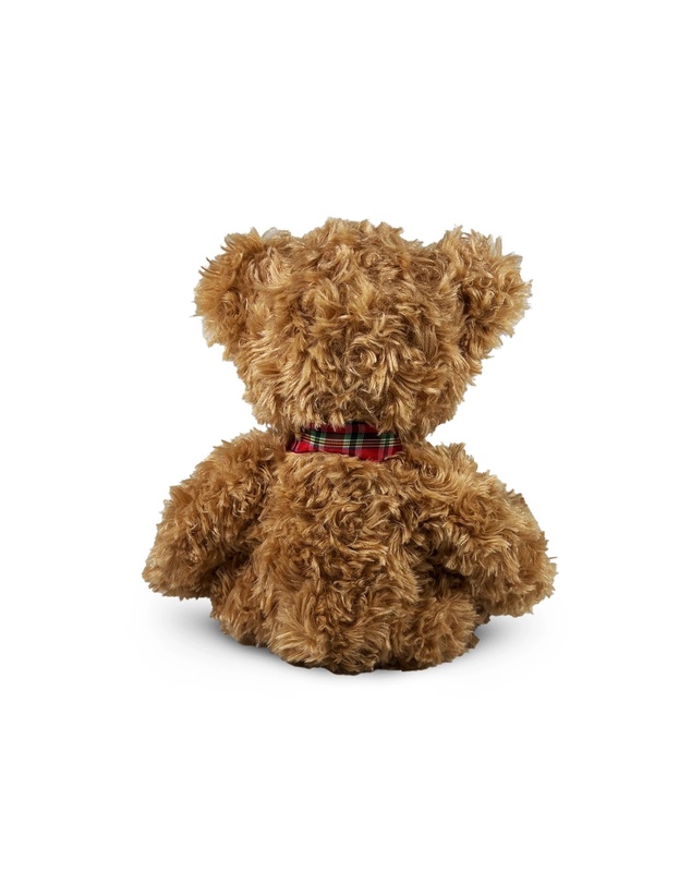 Animal Allsorts - Sebastian Bear - 20cm