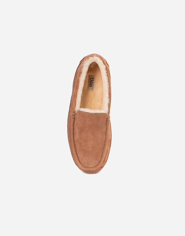 Ozwear Connection Uggs - Ugg Denver Men's Moccassin (Water Resistant)