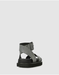 Beau Coops - Voltera Slingbacks