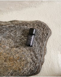 TEMPL - Forest Essential Oil