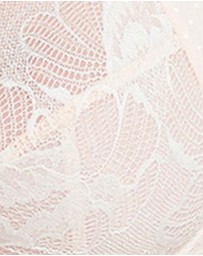 Sans Complexe - Capucine Wired Two-Tone Lace Bra