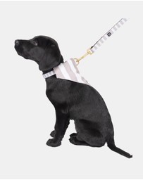 Mog & Bone - Neoprene Dog Bundle- Latte Hampton Stripe
