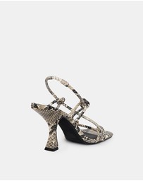 Sol Sana - Verne Heel Python