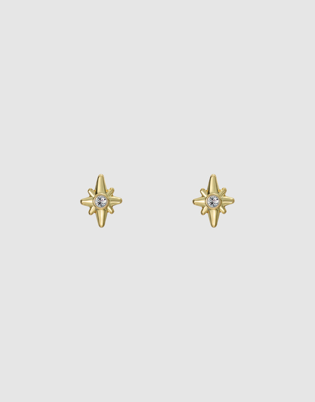 Ted Baker - SURI: Star Charm Crystal Micro Stud Earrings