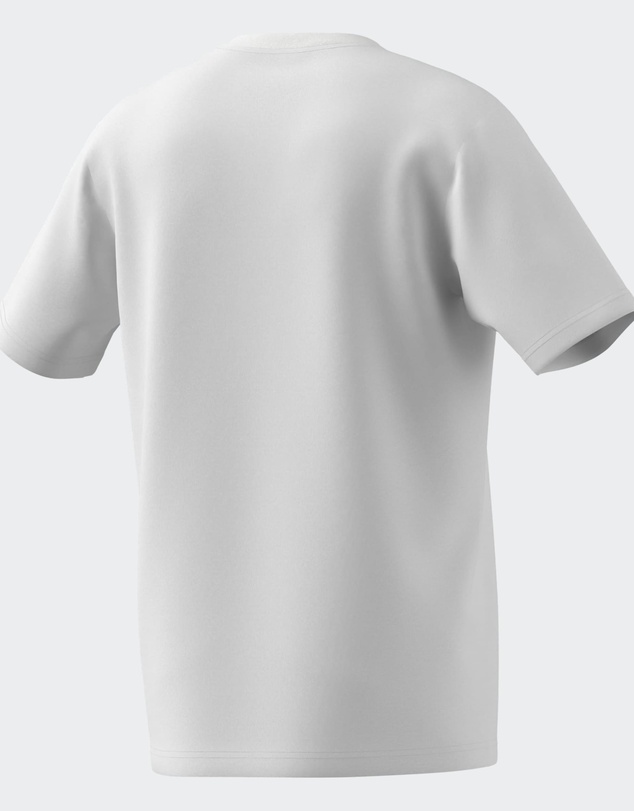 adidas Sportswear - AOTEAROA GRAPHIC TEE Mens