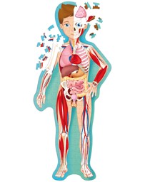 Sassi - Travel Learn Explore The Body Puzzle