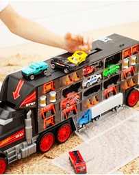 Rallye - Truck Carry Case
