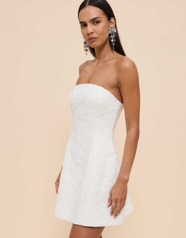 CHANCERY - Lani Strapless Structured Lace Mini Dress