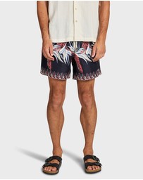 Academy Brand - Lancaster Boardy