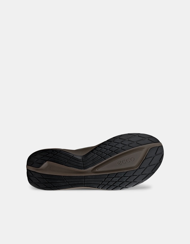 ECCO - ECCO Biom 2.2