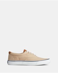 Sperry - Striper II Canvas Chino- Men's