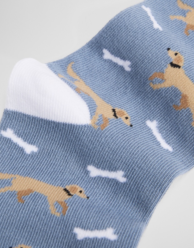 Country Road - Dog Sock