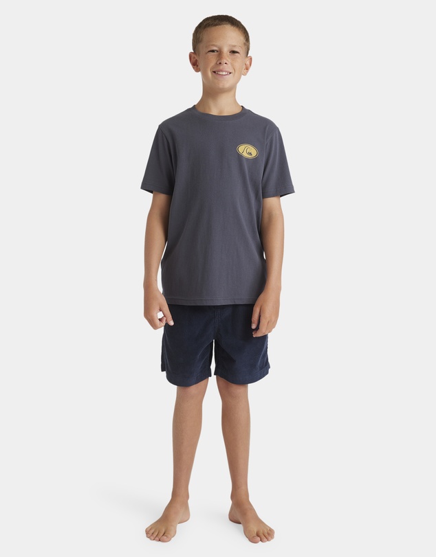 Quiksilver - Boys 8 to 16 Inside Section T-Shirt