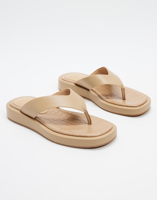 Hael and Jax - Dignified