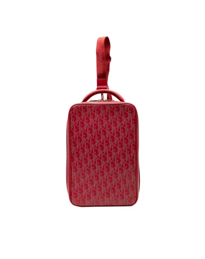 Pre-Loved by Azura Reborn - Pre-Loved Oblique Perforated Calfskin Galaxy World Tour Shoe Case