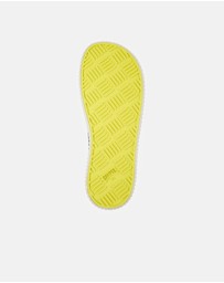 Camper - Peu Roda