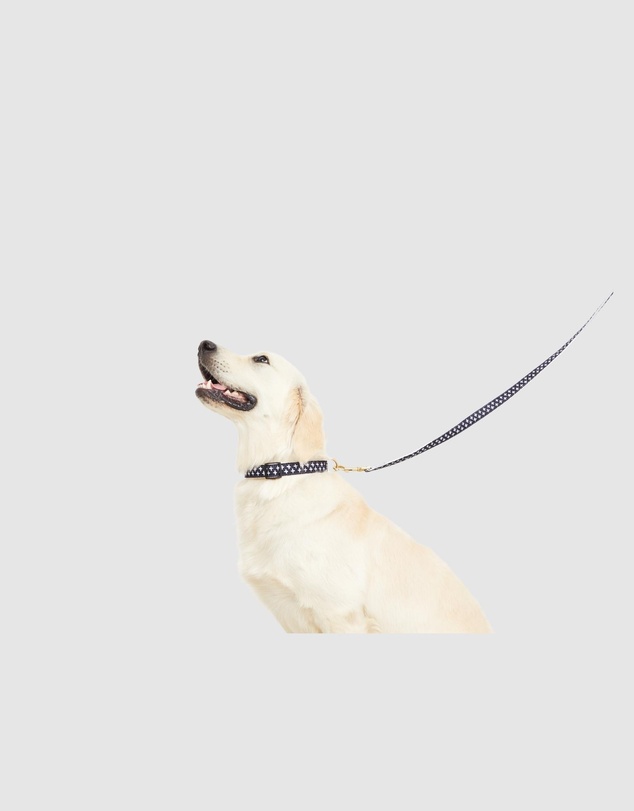 Mog & Bone - Classic Hemp Dog Lead - Navy Cross