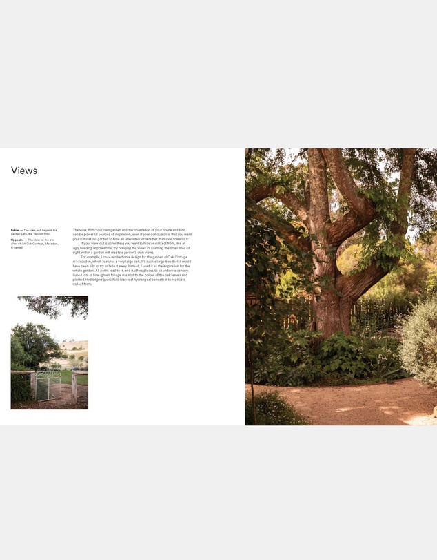 Brumby Sunstate - Wild by Design