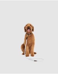 Mog & Bone - Rope & Leather Dog Collar- Grey