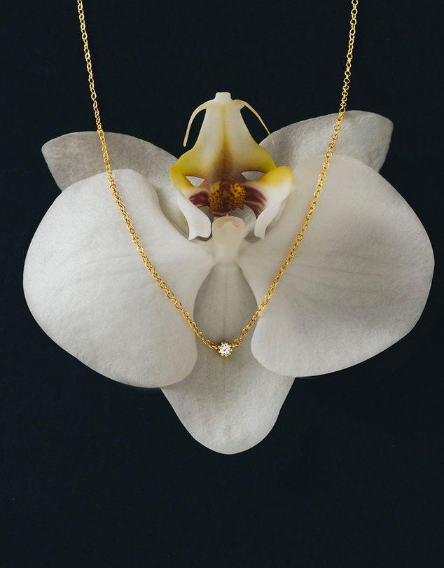 HOUSE OF SLANI - Dainty Sofia Gold Necklace