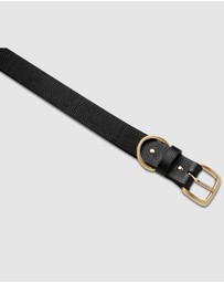 Status Anxiety - Disarm Belt