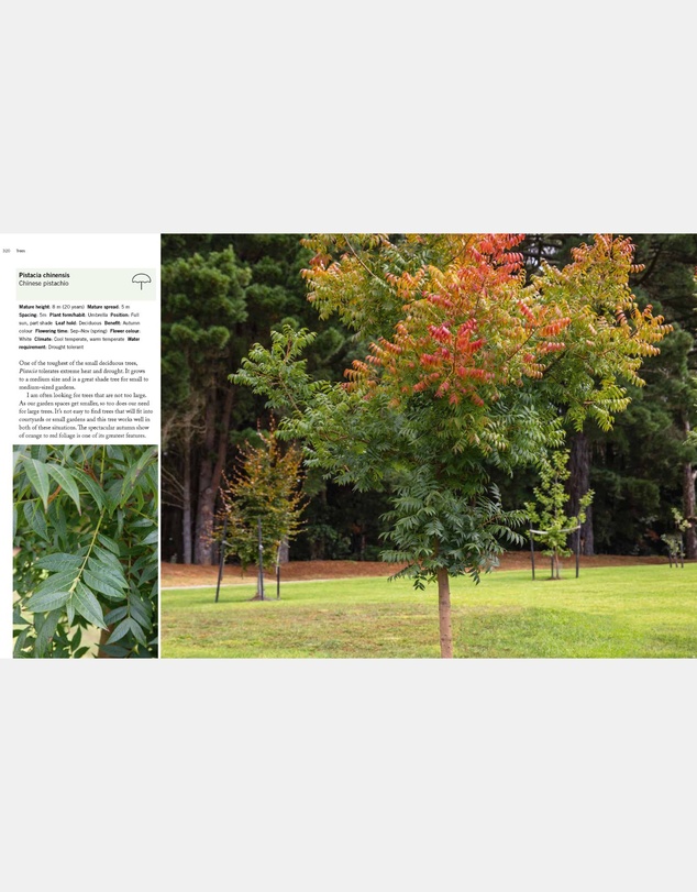 Brumby Sunstate - Paul Bangay's Guide to Plants