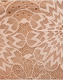 Parfait - Luxlacy Sheer Mesh & Lace Hipster Brief