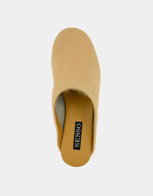 Senso - Caelan