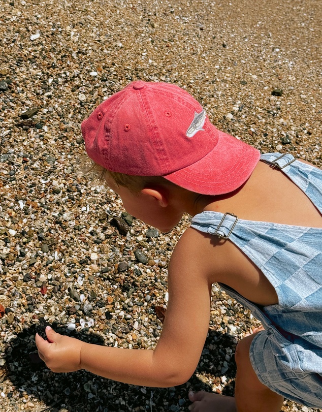 Pallion Point - Kids Tiger Shark Fish Lid