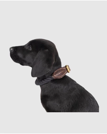 Mog & Bone - Rope & Leather Dog Collar- Black