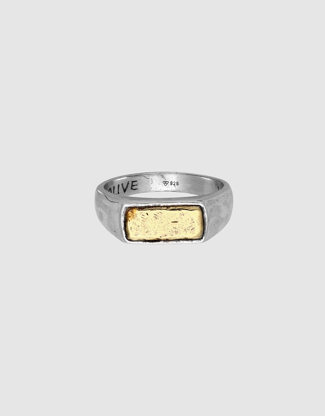 Haze & Glory - ICONIC EXCLUSIVE - Alive Signet Ring in 925 Silver