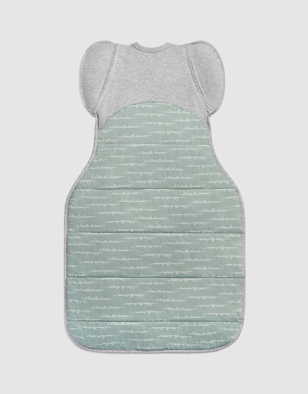 Love to Dream - SWADDLE UP™ Transition Bag 2.5 TOG