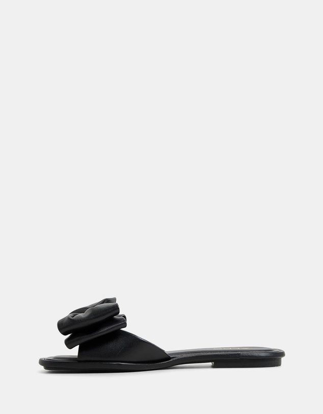 ALDO - Bowetta Ballerina & Flats
