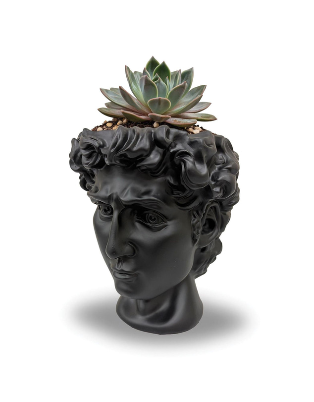 Urban Attitude - Urban Attitude David Head Planter - Matte Black