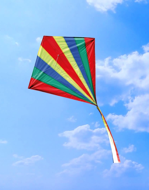 Freeplay Kids - Shadow Fun Kite